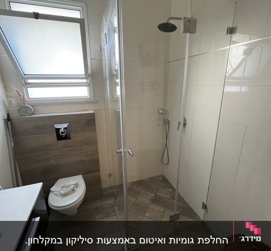 מקלחון זכוכית עם ראש מקלחת עגול וקירות אריחים